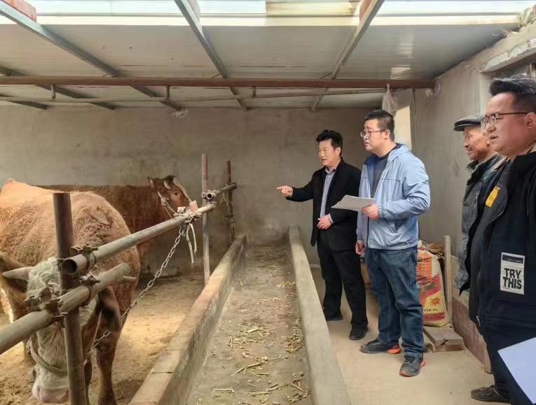 1161d0d86de24ad19540a56cdf7db5e6.jpg 1161d0d86de24ad19540a56cdf7db5e6.jpg