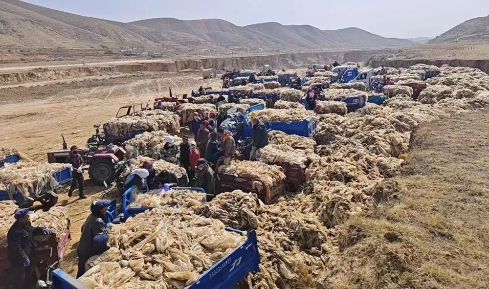 e95fd15a4d104a71aeb01292989ac689.png e95fd15a4d104a71aeb01292989ac689.png